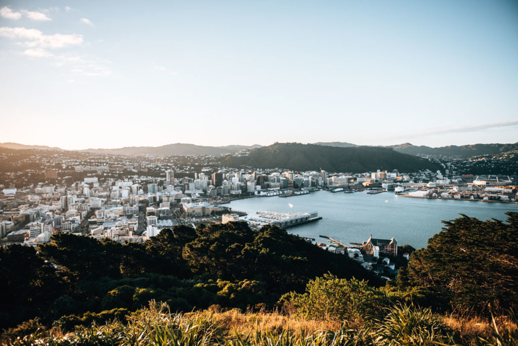 Wellington Travel Guide: Things to do and see - Sommertage