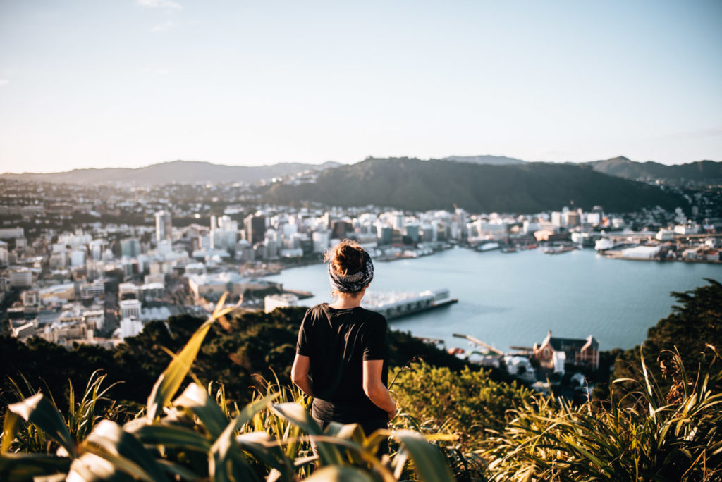 Wellington Travel Guide: Things to do and see - Sommertage