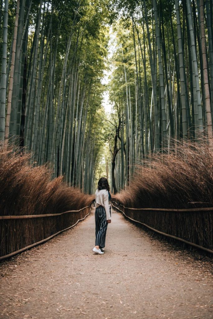 Bamboo Forest Kyoto