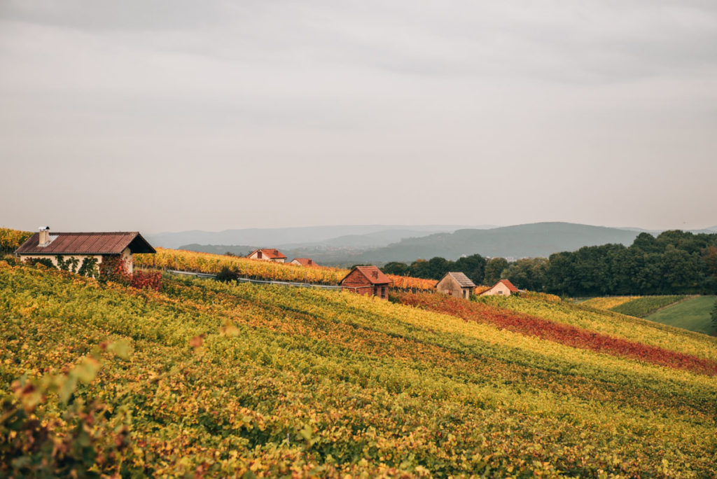 Weinurlaub in Franken: Unsere Tipps für eine Reise durch das Fränkische